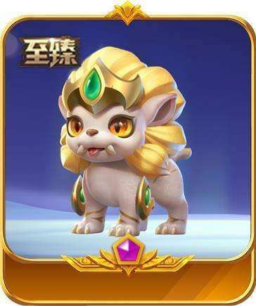 至臻小瑞