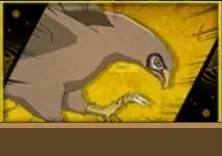 鹰